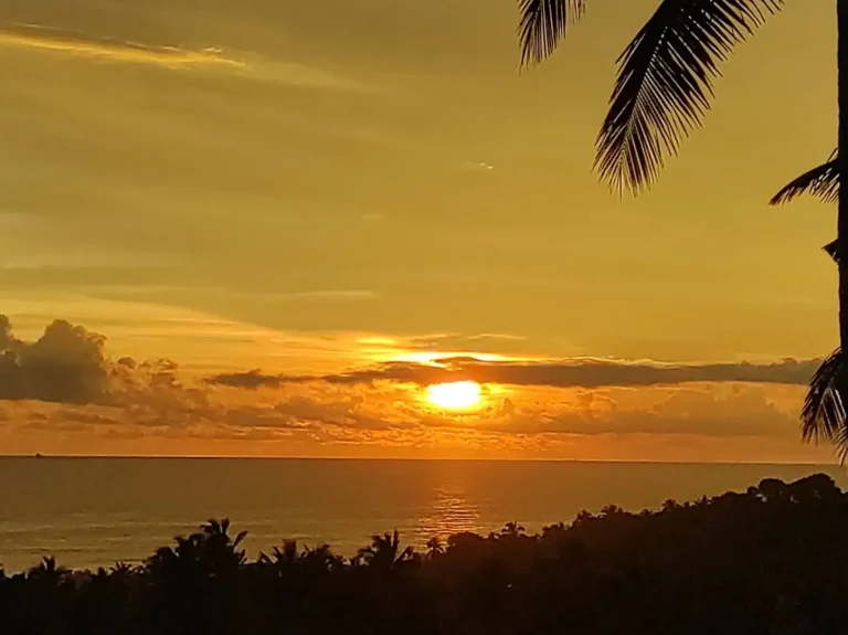 Sunset view over ocean with palm silhouettes