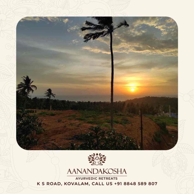 Sunset view with coconut trees at Anandakosha retreat Kovalam