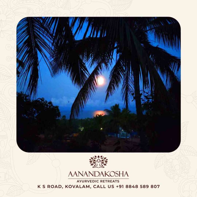 Moonlit evening with palm silhouettes at Aanandakosha Ayurveda Retreat Kerala