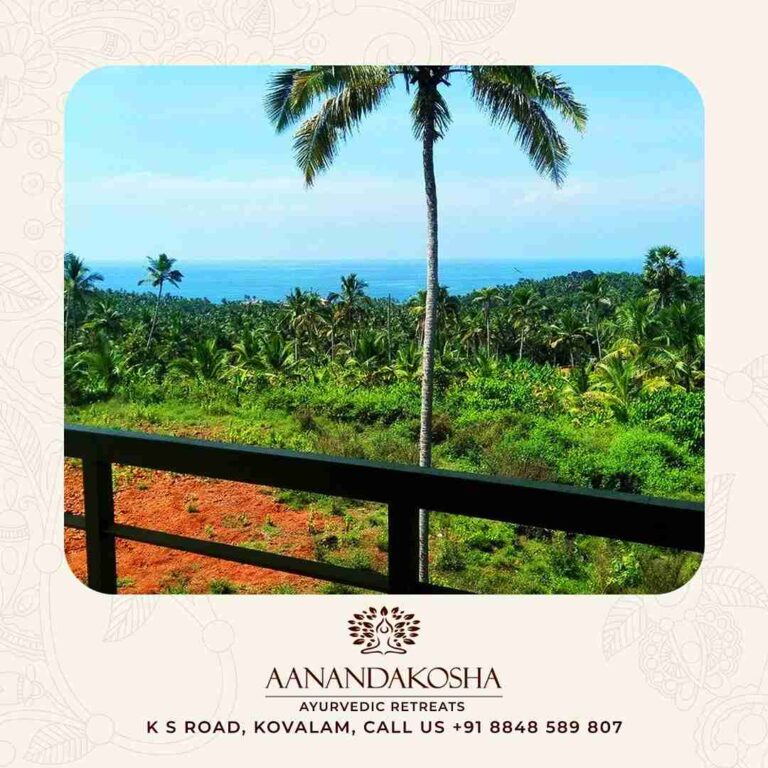 Balcony view over coconut groves toward the Sea