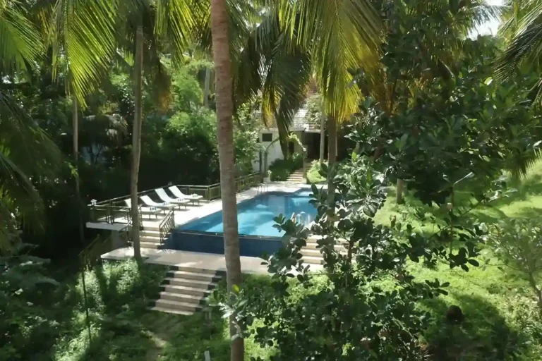 Outdoor pool surrounded by palm trees and greenery