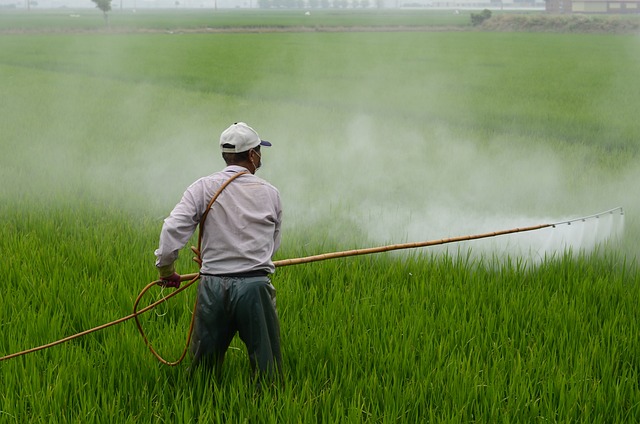 Farmer spraying crops in a green field