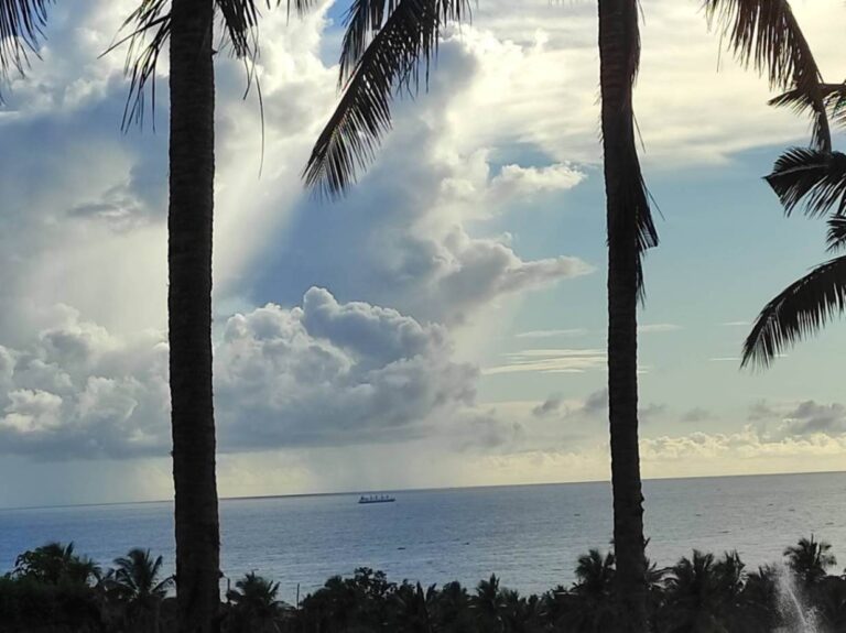 Beach View from the aanandakosha retreat with coconut trees and boat sailing in the ocean