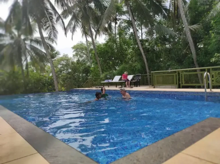 people enjoying nature and having bath in swimming pool covered with coconut trees at aanandakosha ayurvedic resort