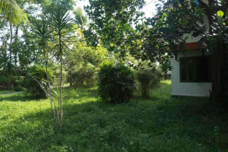 Back side of the Aanandakosha resort with maintained greenary and calm in Kerela